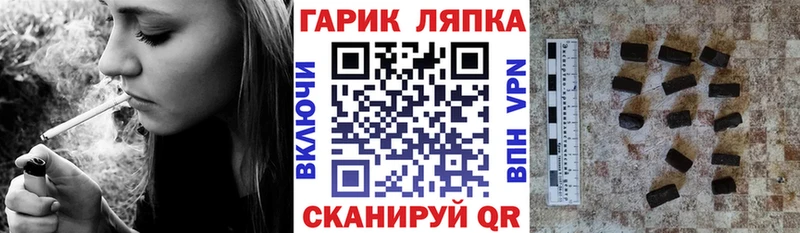 кракен как войти  Шебекино  Гашиш индика сатива  цена  
