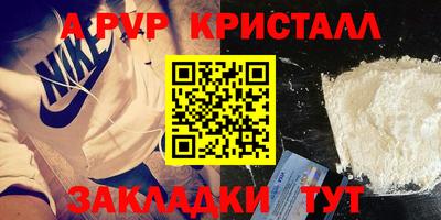 крисы Бийск