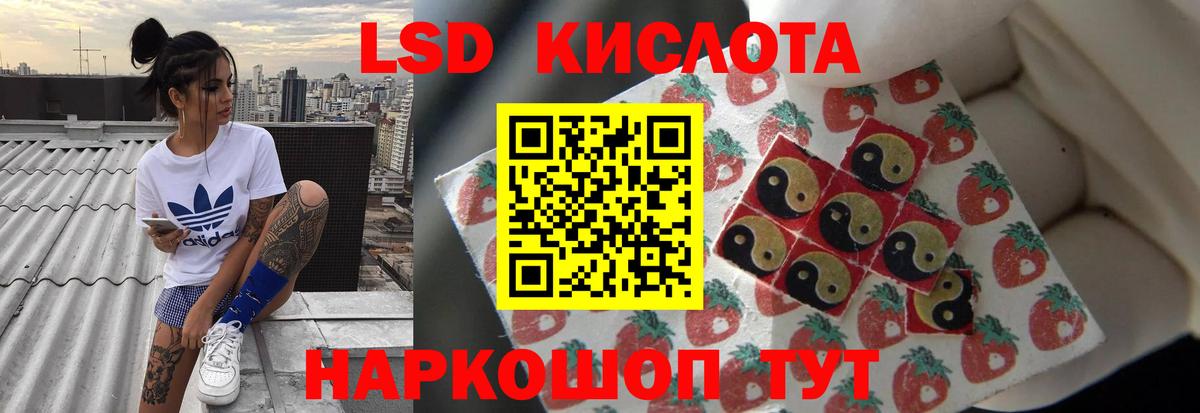 Шебекино  hydra ONION  Вход с VPN  LSD-25 экстази кислота  ЛСД экстази ecstasy 