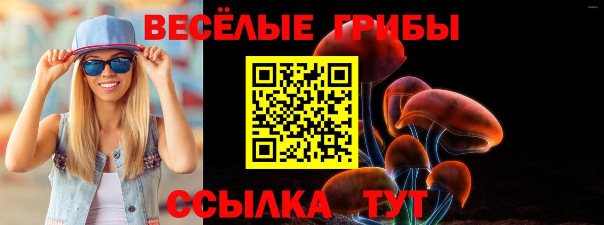 Галлюциногенные грибы GOLDEN TEACHER  Псилоцибиновые грибы ЛСД  Шебекино 