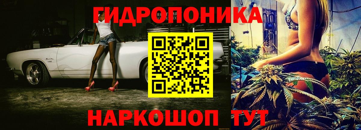 Бошки Шишки план Шебекино
