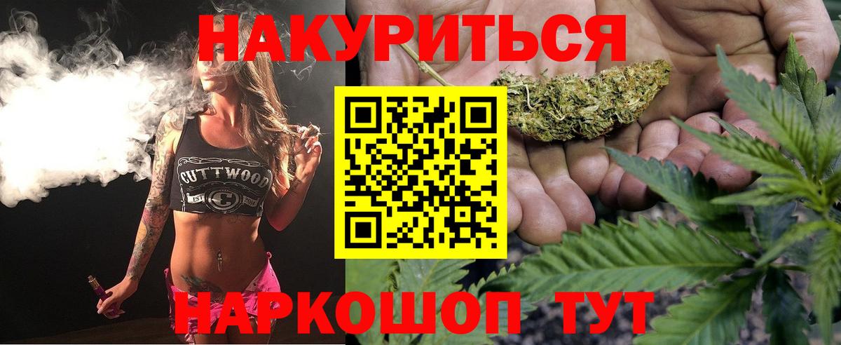 Бошки Шишки OG Kush  Шебекино  Бошки Шишки гибрид  Канабис VHQ  Конопля семена 
