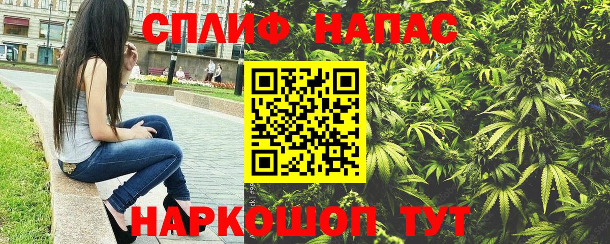 Бошки марихуана гибрид  Вход с VPN  Бошки марихуана семена  Шебекино 